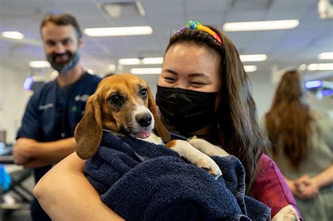 cnc kennel assistant|69 Kennel Assistant jobs in Salt Lake City, Utah, United  .